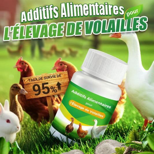 Complément alimentaire pour l'élevage de volailles,une absorption efficace, un élément indispensable dans l'élevage