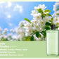 Automatischer Aromatherapie Diffusor