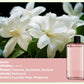 Automatischer Aromatherapie Diffusor