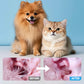 Angebot für begrenzte Zeit 🔥 60% OFF Reinigungstupfer für Hunde und Katzen