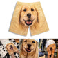 🐶Kreative lustige lässige Hundeshorts