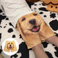 🐶Kreative lustige lässige Hundeshorts