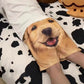 🐶Kreative lustige lässige Hundeshorts
