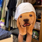 🐶Kreative lustige lässige Hundeshorts